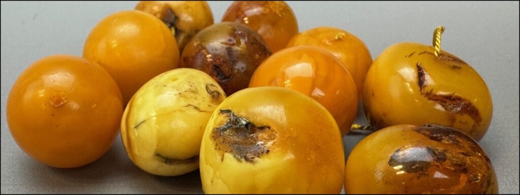 Reihe runder Bernstein-Cabochons in Honig- und Butterscotchtönen