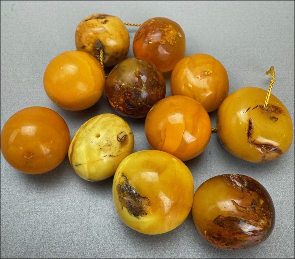 Neun große runde Bernstein-Cabochons in Butterscotch mit natürlichen Einschlüssen